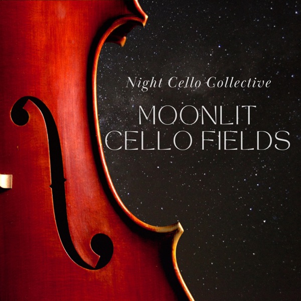 Night Cello Collective