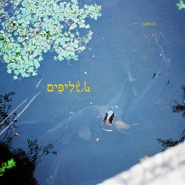 ארבע פליפים נועם מפ & ג'ף ג'ף ג'ף