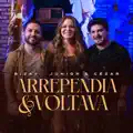 ARREPENDIA E VOLTAVA