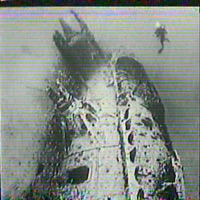 VELORUM - Single - Berith