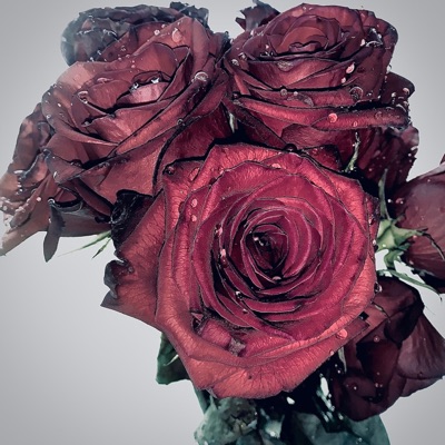 Tell Me (It's Gonna Be Alright) - Single