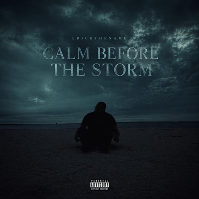Calm Before The Storm - Single