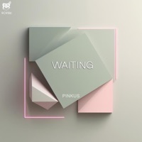 Waiting - Single - Pinkus