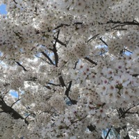 Is It Love? - Single - Sugiwo