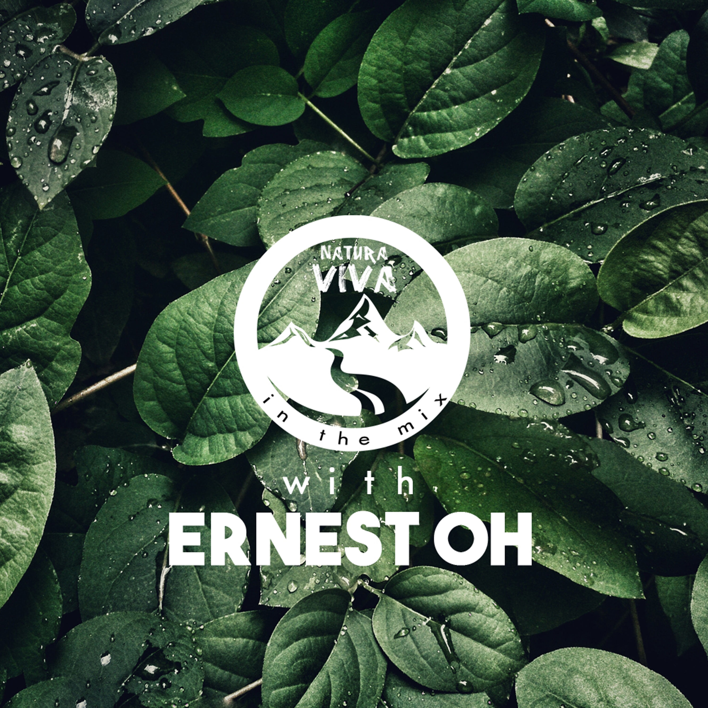 Natura Viva in the Mix with Ernest Oh