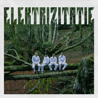 Elektrizitatie (feat. Spi) - Single