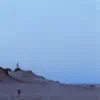 Seagull Theory II
