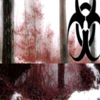 Used to this - Single - Sailorboy