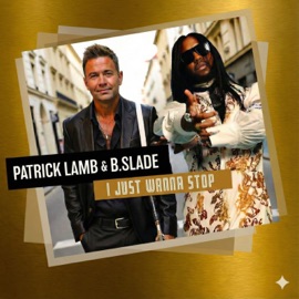 I Just Wanna Stop Patrick Lamb & B.Slade