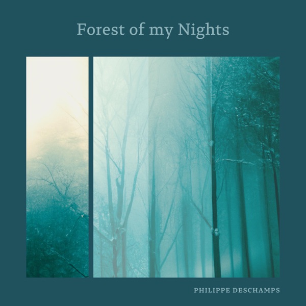 Forest of my Nights - EP