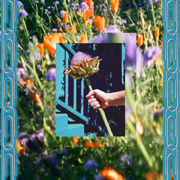 UTOPIA NOW! - Rosie Tucker