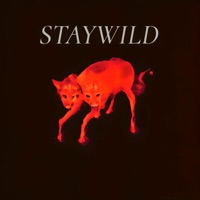 Stay Wild - Single - 7AM