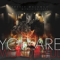You are wonderful (feat. Witness Kalonda) - Single - Pretty Mhlongo