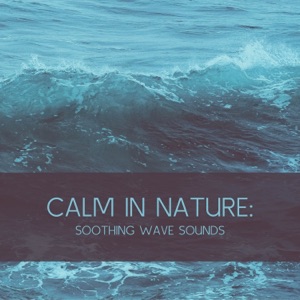 Calm in Nature: Soothing Wave sounds