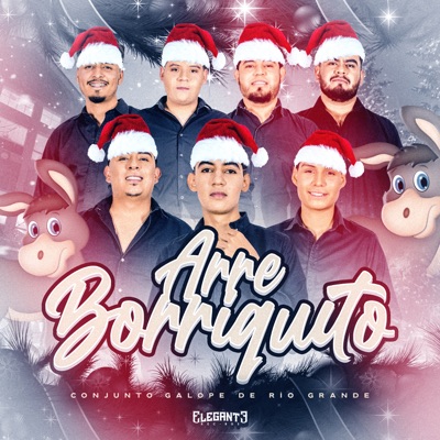 Arre Borriquito - Single