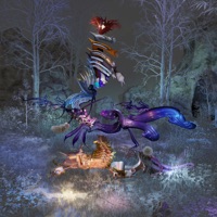 Portail Opaque - OrangeTone