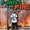 Forest Fire - Single