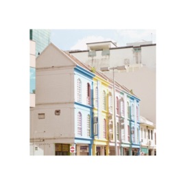 Flower Boy (feat. 808Toofly) rxi