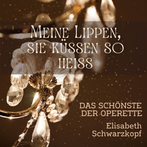 Meine Lippen, sie küssen so heiß: das Schönste der Operette