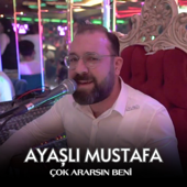 Çok Ararsın Beni song art