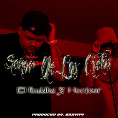 Señor de los cielos (feat. Hectoor) - Single