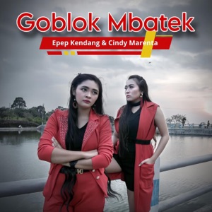 Goblok Mbatek Album Art