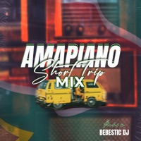 Amapiano Short Trip Mix - EP - Bebestic DJ, Myztro & 2UALAY
