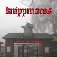 VAN LAYER - Single - KNIPPMÄSS