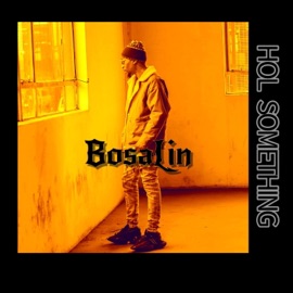 Hol Something (feat. Mr Ruger) Bosalin