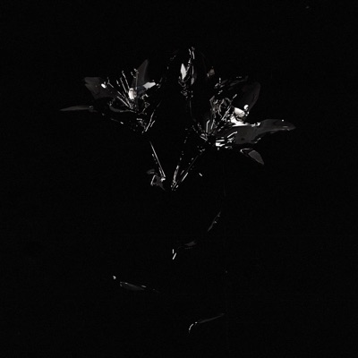 LALIE (feat. rolkuxx) - Single