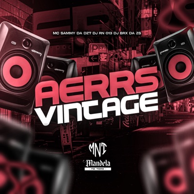 Aerrs Vintage (feat. DJ BRX DA ZS) - Single