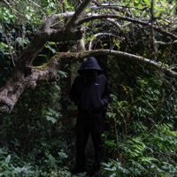 ANONYMAT - Single - Seynam