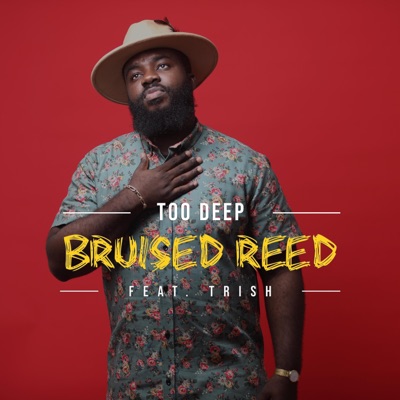 Bruised Reed (feat. Trish Darko) - Single