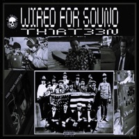 WIRED FOR SOUND - EP - TH1RT33N