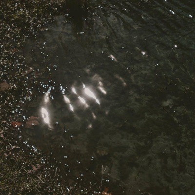 CLARITY - Single