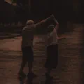 До сивини