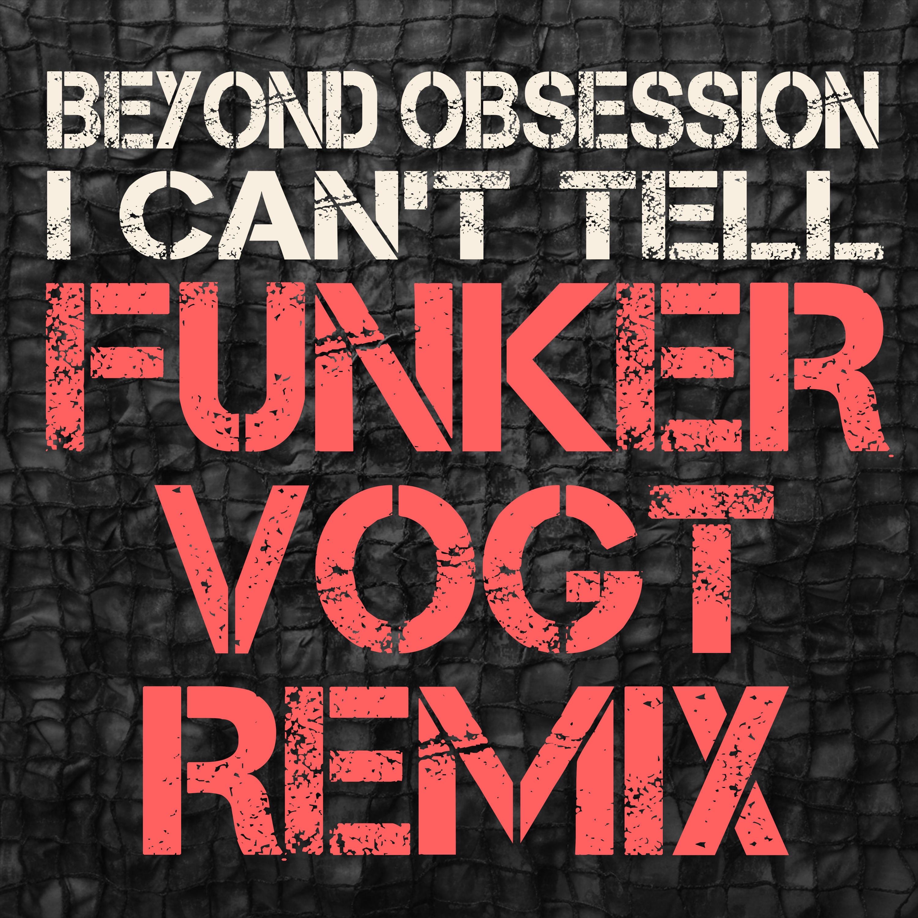 I can't tell (Funker Vogt Remix) - Single