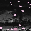 Cherry Blossoms (feat. L3GO L&RO & Otis.) - Single