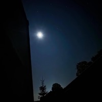 soll_ich*? - Single - Trace