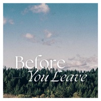 Before You Leave - Single - BƱBBLE
