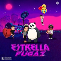Estrella Fugaz (feat. Yarel el lobo, Melkox$ & SGYEZ) - Single - Dipper el Misterio