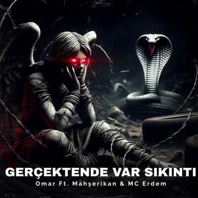 Gerçektende Var Sıkıntı (feat. Omar & Mahşerikan) [2010 Edition] - Single