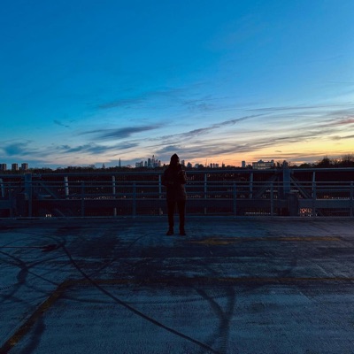 Von Black (feat. Zest the BlaackHippy, FREDDY FORBIDDEN & Tadiwanashe) - Single