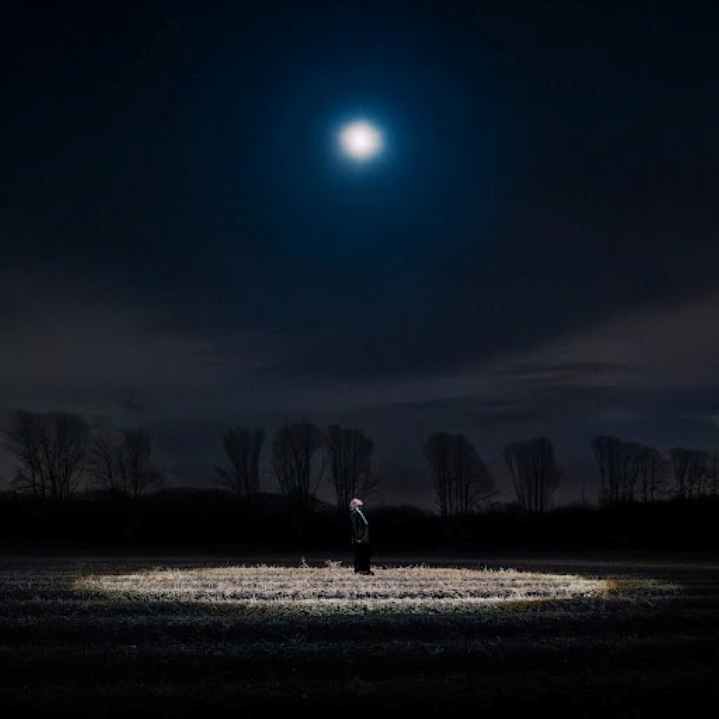 Night Light - Single