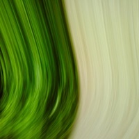 WINDS - Single - Barra Brown