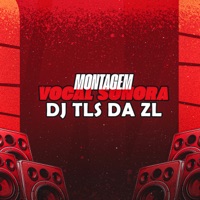 MONTAGEM VOCAL SONORA - Single - DJ TLS DA ZL