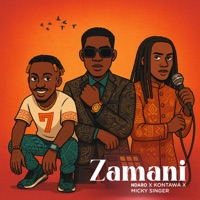 Zamani - Single - Ndaro, Kontawa & Micky Singer