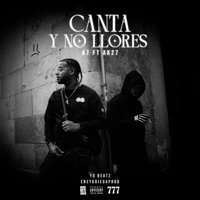 Canta y no llores (feat. AK 27, YD.beatz & Eneygriega) - Single - A7