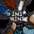 INI MINI