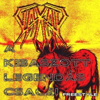 A kibaszott legendás csacsi freestyle - Single - VAKAY